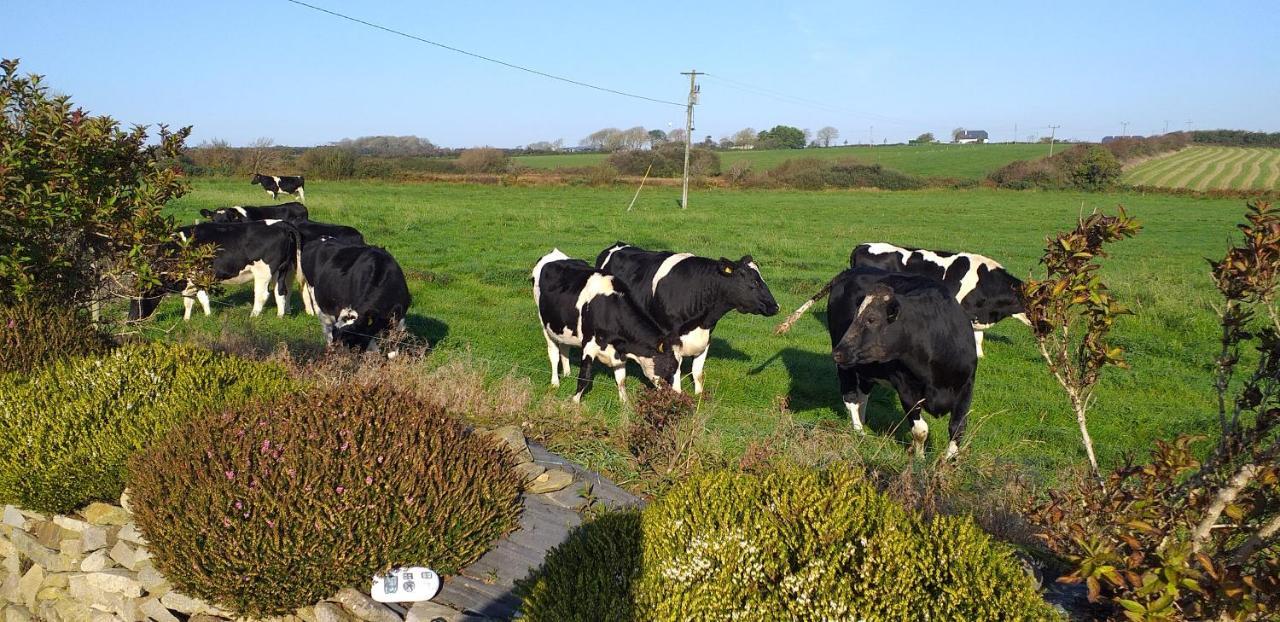 Murphys Irish Farmhouse Tralee Ngoại thất bức ảnh