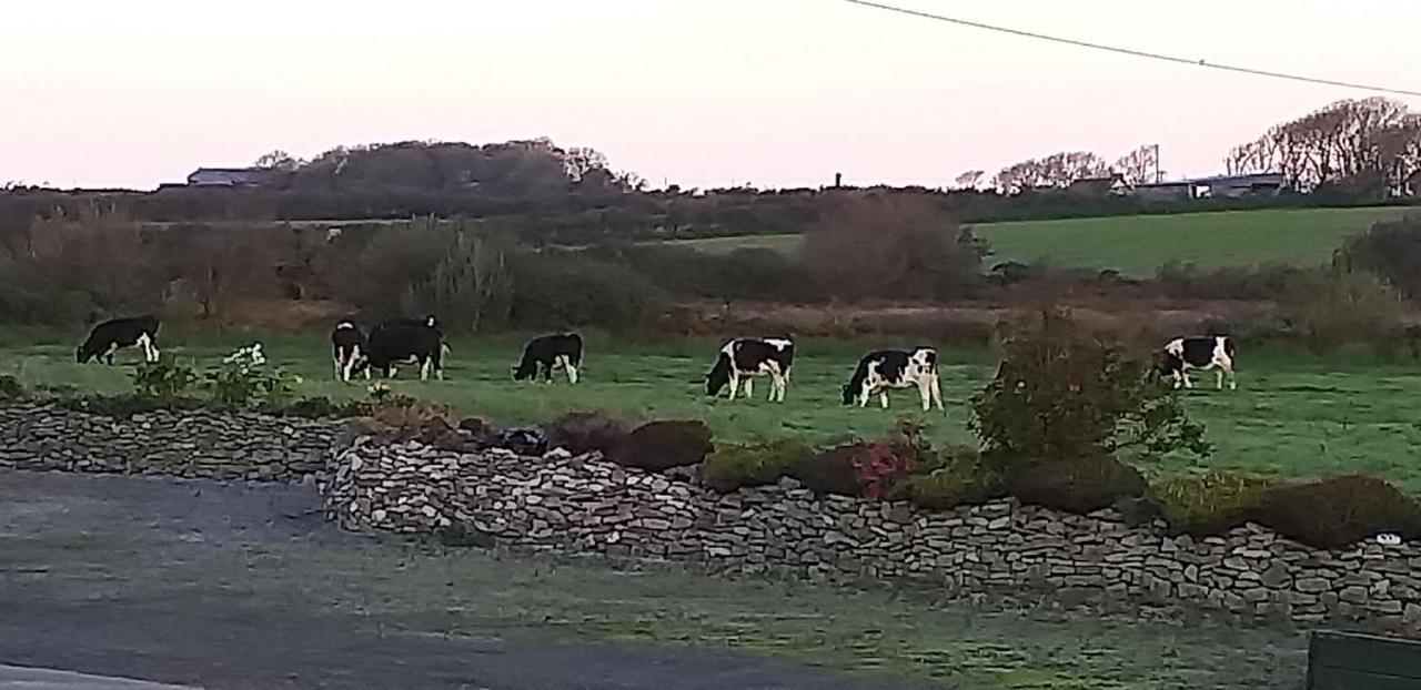 Murphys Irish Farmhouse Tralee Ngoại thất bức ảnh